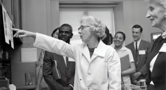Koalaty Research research collaborations between scientists for advanced chemical studies